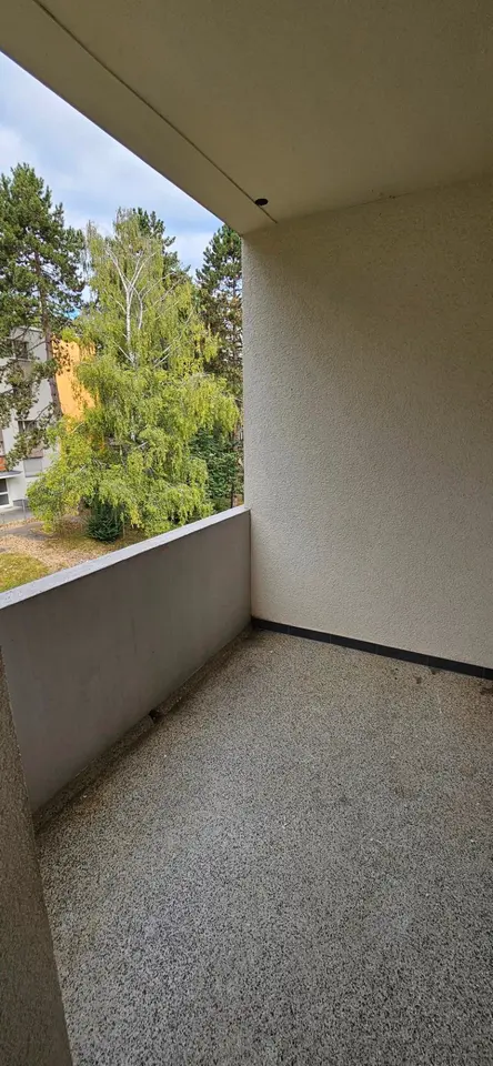 2 Zimmer Wohnung mit 54 m² in Wiesbaden – Bild 4