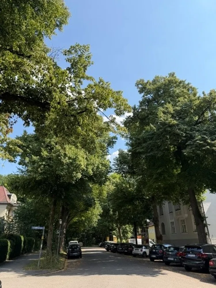 3 Zimmer Wohnung mit 152 m² in München – Bild 4