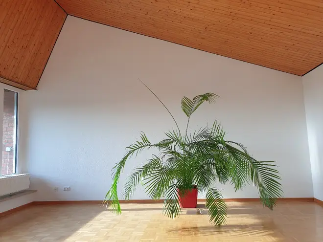 4 Zimmer Wohnung mit 107 m² in Köln – Bild 11