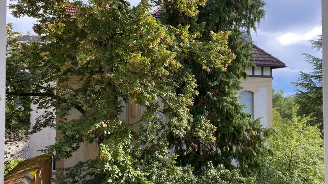 2 Zimmer Wohnung mit 93 m² in Wiesbaden – Bild 11