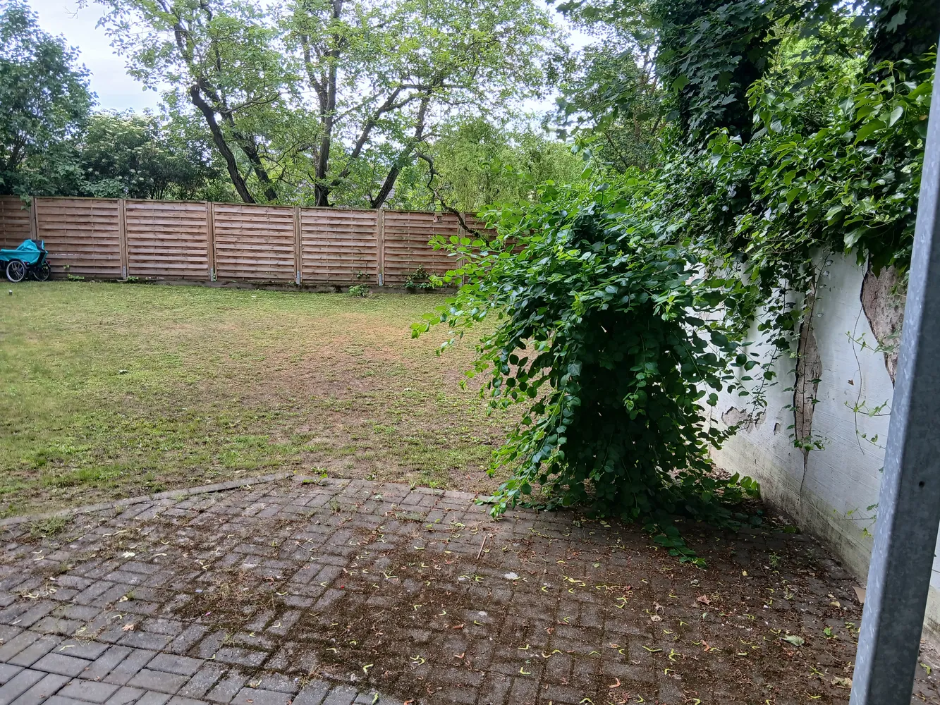 2 room apartment with 53 m² in Magdeburg – Photo 5