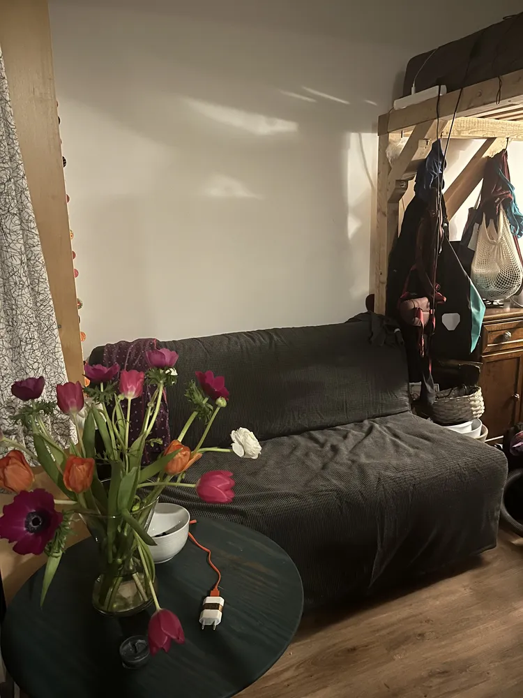 1 Zimmer Wohnung mit 29 m² in Köln – Bild 2