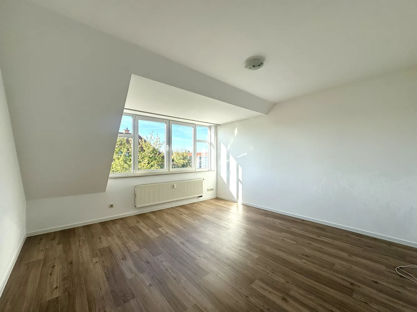 2 room apartment with 53 m² in Dresden – Photo 5