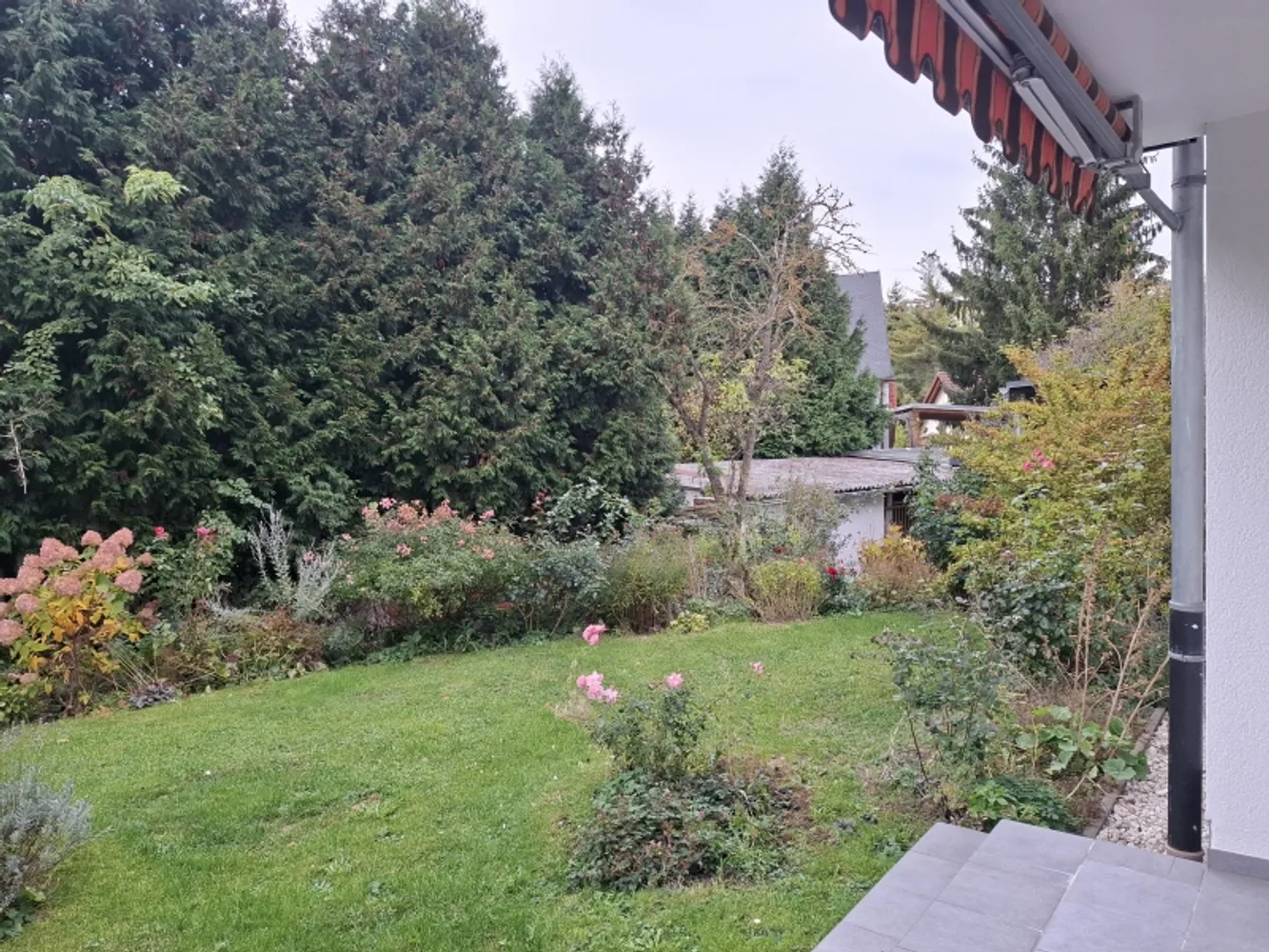 3 Zimmer Wohnung mit 78 m² in Zwickau – Bild 2
