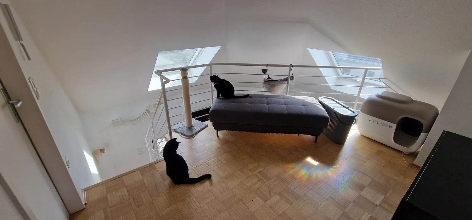 3 Zimmer Wohnung mit 70 m² in Düsseldorf – Bild 3