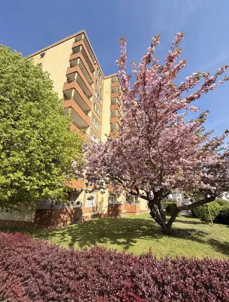 3 Zimmer Wohnung mit 74 m² in Heppenheim – Bild 2