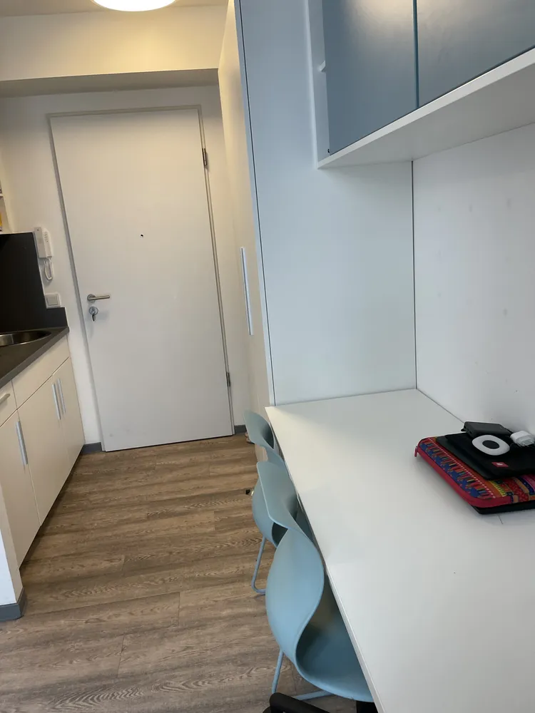 1 Zimmer Wohnung mit 17 m² in Dresden – Bild 4