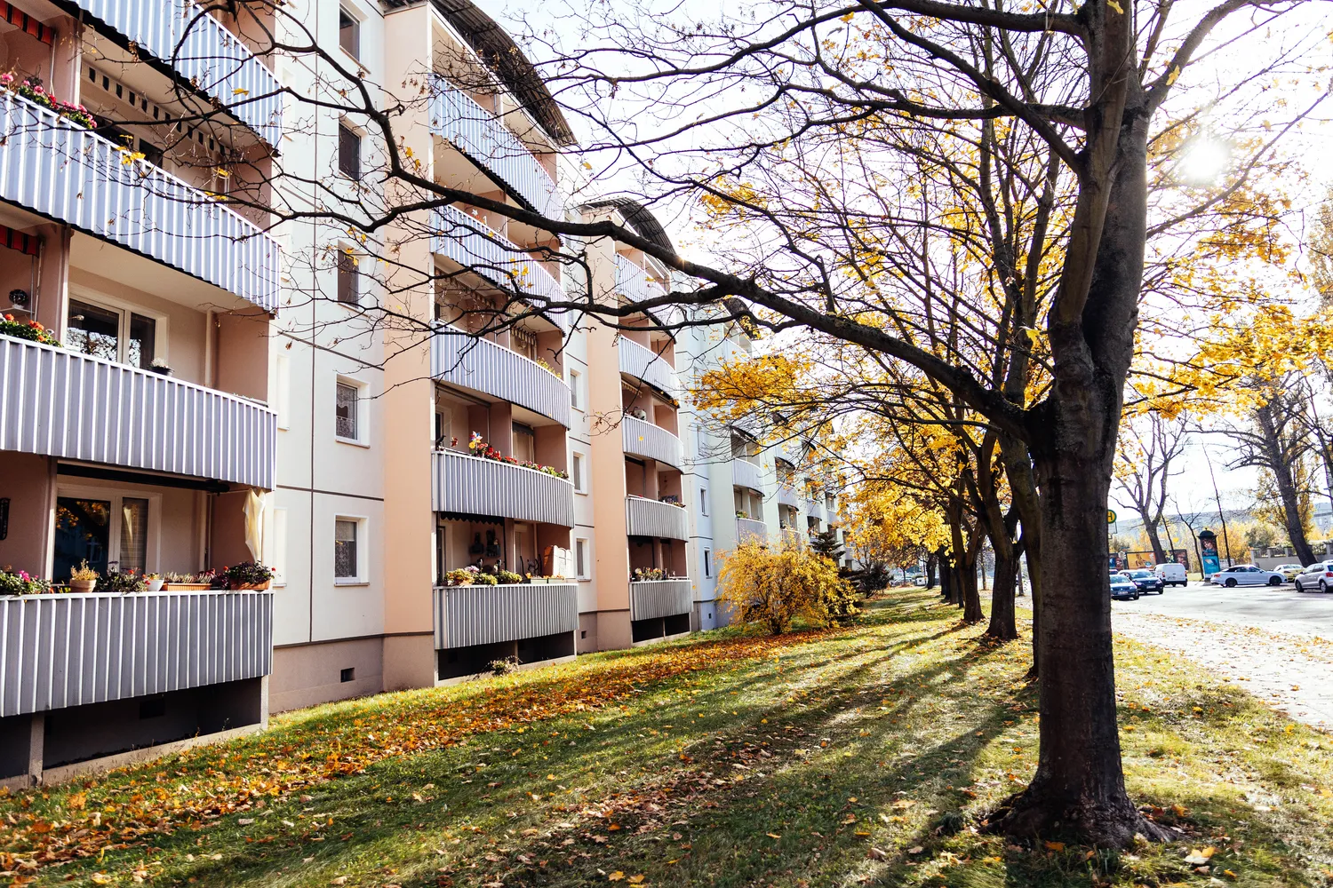 2 Zimmer Wohnung mit 47 m² in Magdeburg – Bild 1