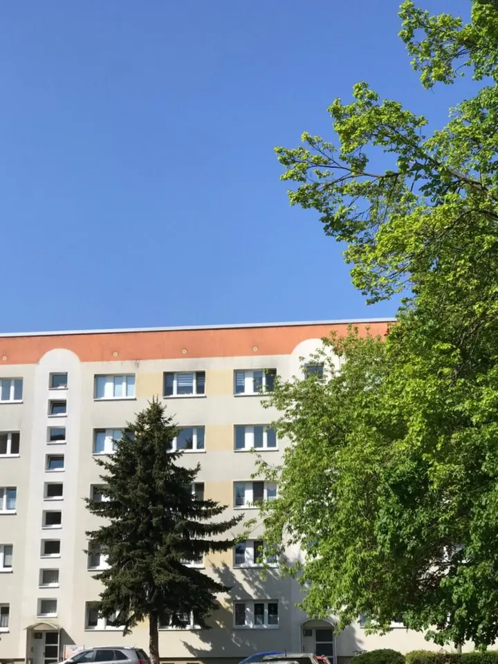 3 Zimmer Wohnung mit 59 m² in Borna – Bild 3