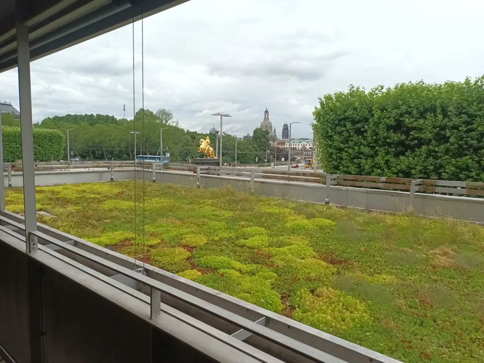 3 Zimmer Wohnung mit 63 m² in Dresden – Bild 4