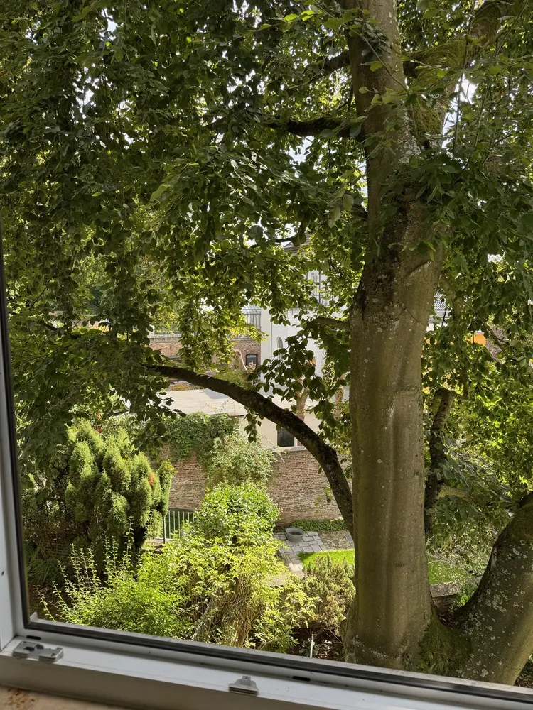 3 room apartment with 72 m² in Aachen – Photo 4