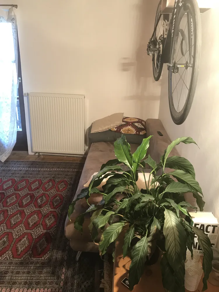 3 Zimmer Wohnung mit 56 m² in Regensburg – Bild 1