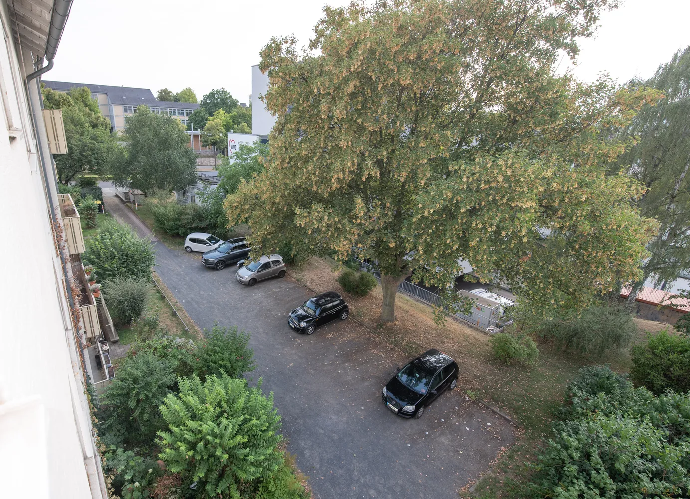 2 room apartment with 42 m² in Kassel – Photo 9