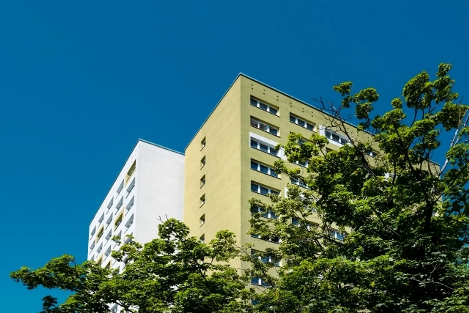 2 Zimmer Wohnung mit 67 m² in Erfurt – Bild 5