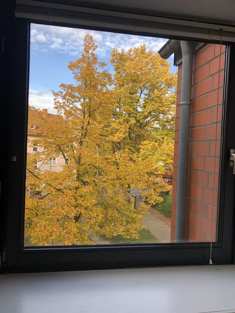 2 Zimmer Wohnung mit 46 m² in Osnabrück – Bild 1