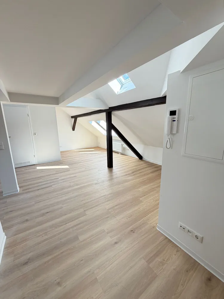 1 Zimmer Wohnung mit 41 m² in Dresden – Bild 11