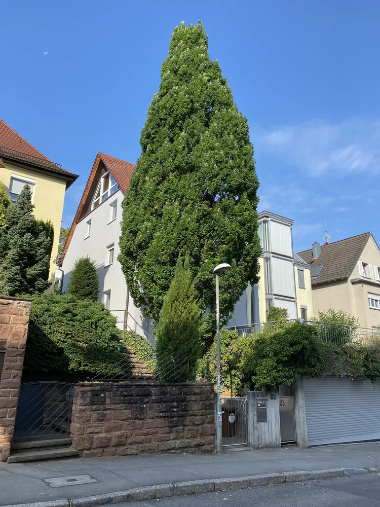 3 Zimmer Wohnung mit 84 m² in Stuttgart – Bild 5