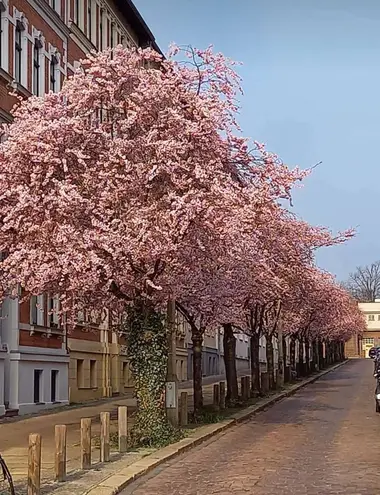2 Zimmer Wohnung mit 59 m² in Halle (Saale) – Bild 9