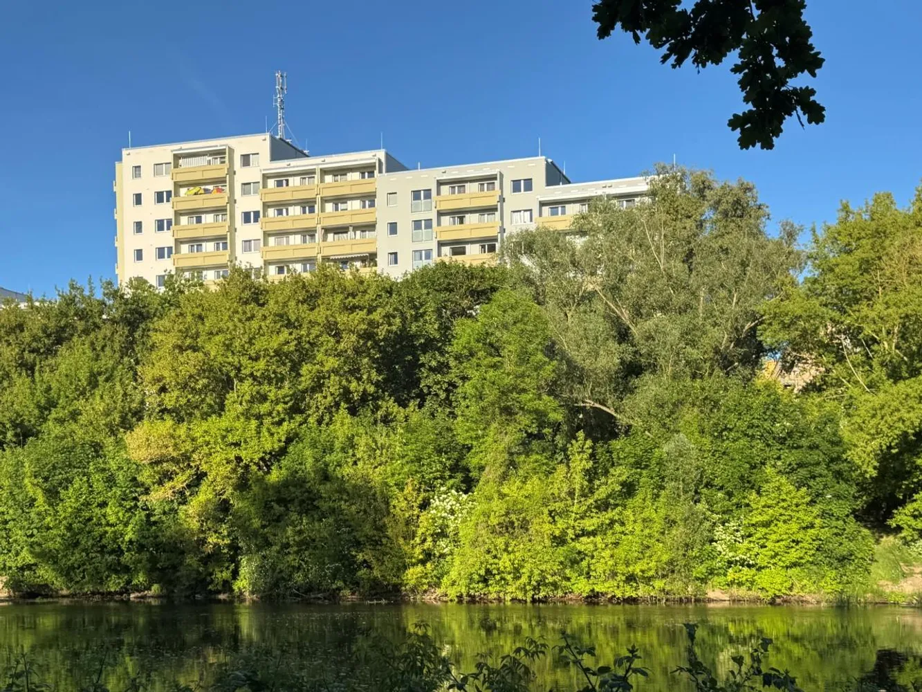 3 Zimmer Wohnung mit 59 m² in Halle (Saale) – Bild 2