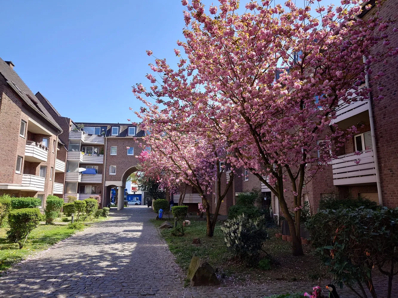 2 room apartment with 51 m² in Bonn – Photo 2