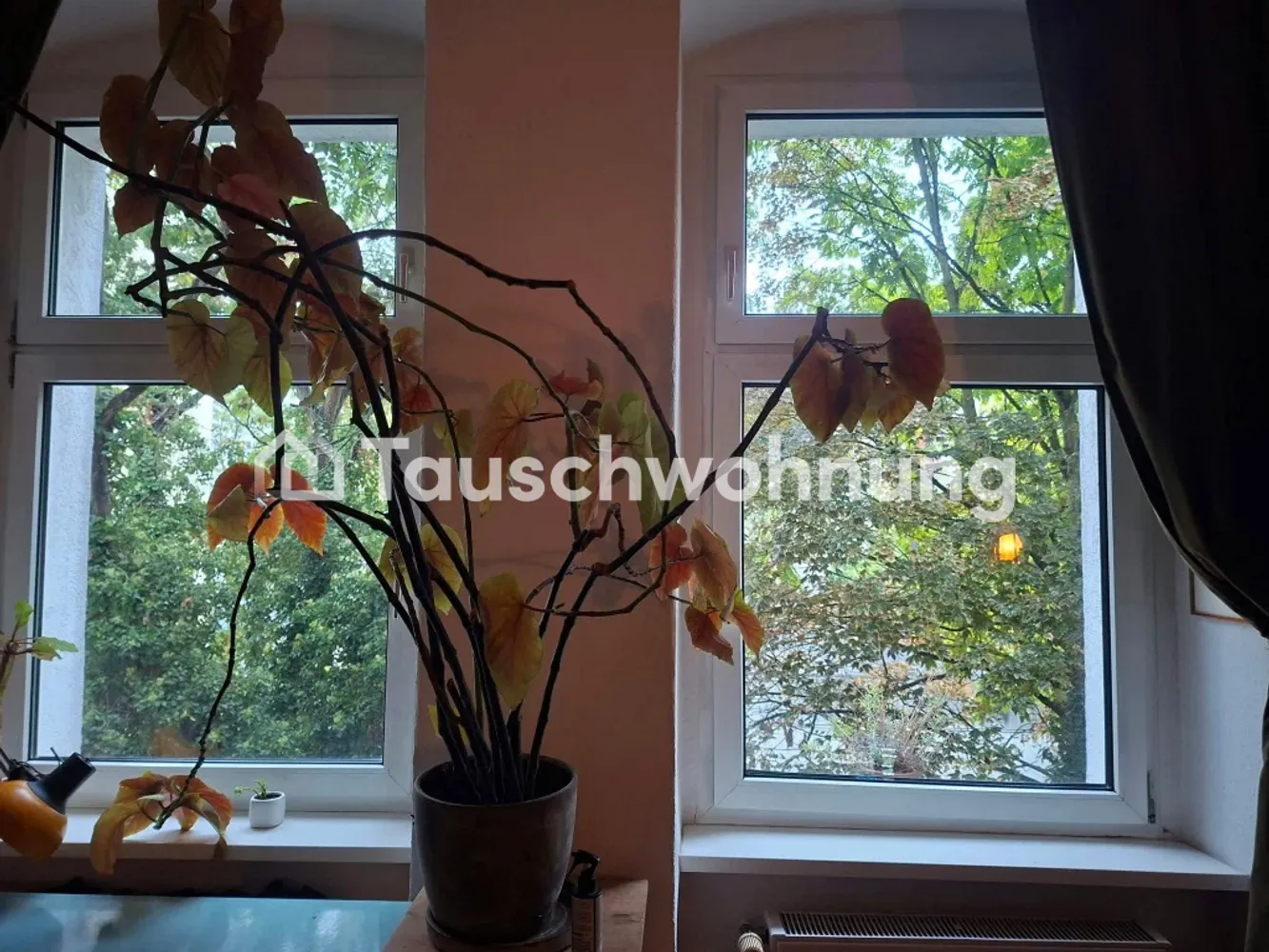 1 Zimmer Wohnung mit 33 m² in Berlin – Bild 1