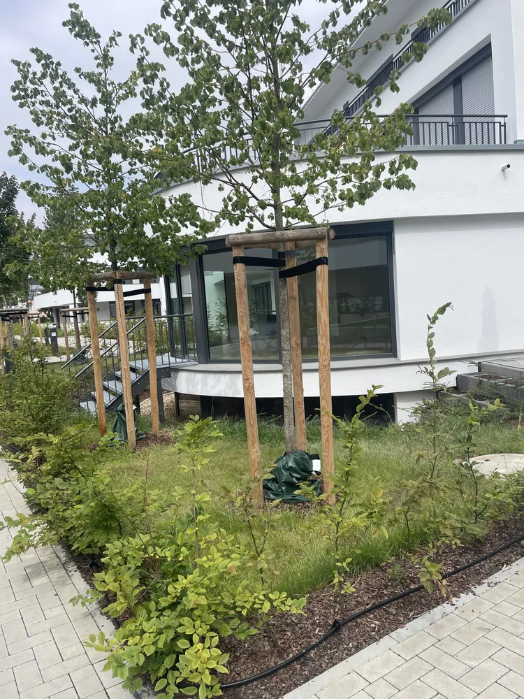 3 Zimmer Wohnung mit 136 m² in Köln – Bild 3