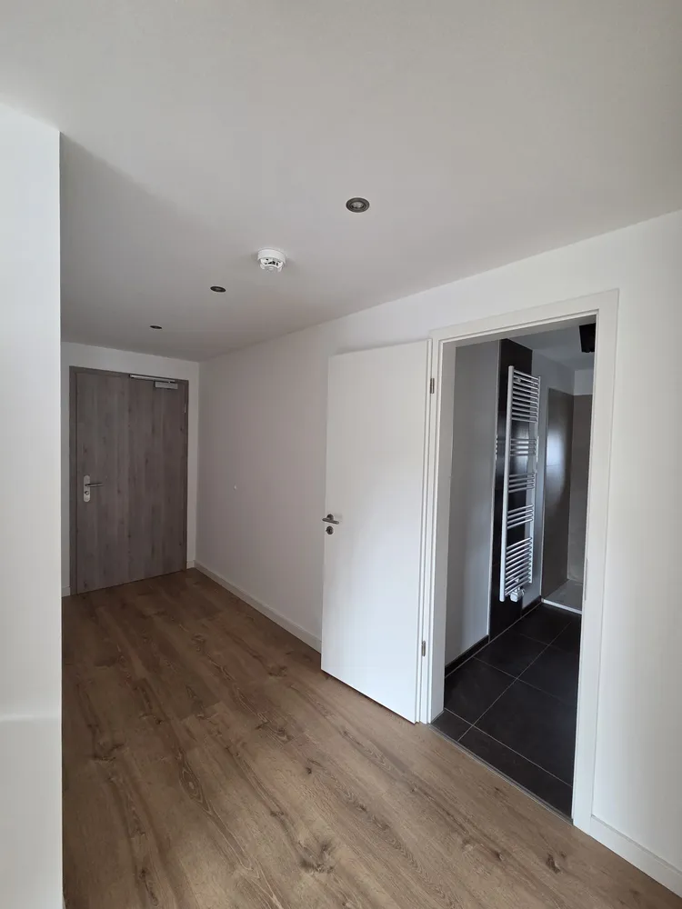 2 room apartment with 41 m² in Chemnitz – Photo 3