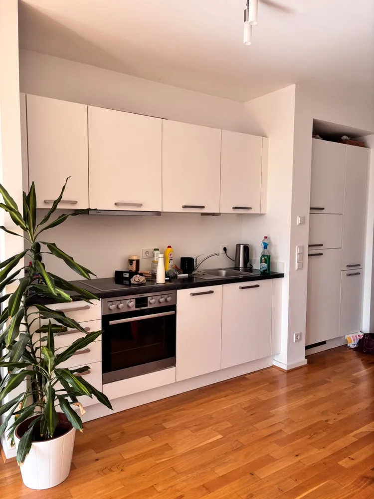 2 room apartment with 55 m² in Dresden – Photo 4