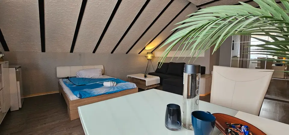 Studio mit 48 m² in Hanau – Bild 6