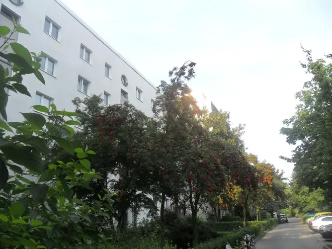 4 Zimmer Wohnung mit 83 m² in Berlin – Bild 10