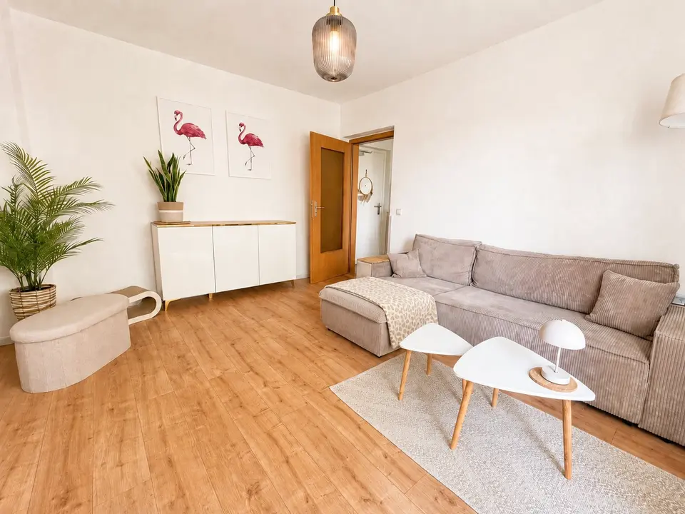 2 Zimmer Wohnung mit 50 m² in Dresden – Bild 2