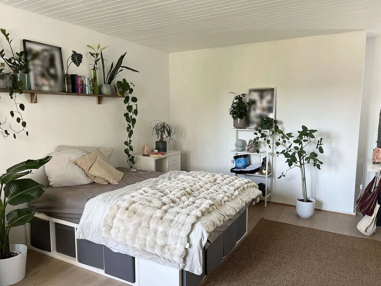2 room apartment with 60 m² in Kassel – Photo 6