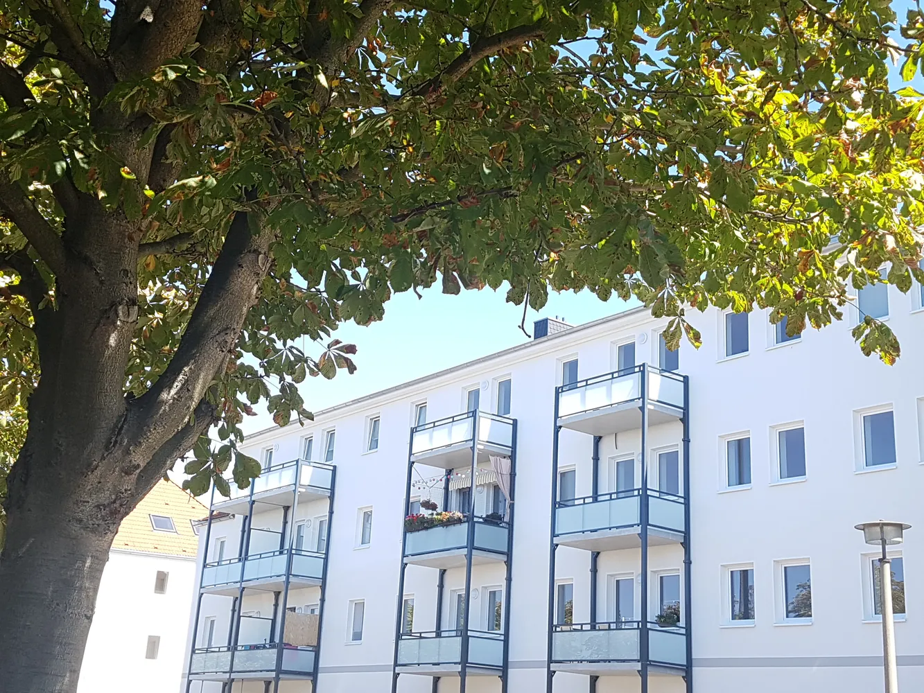 4 Zimmer Wohnung mit 92 m² in Magdeburg – Bild 12