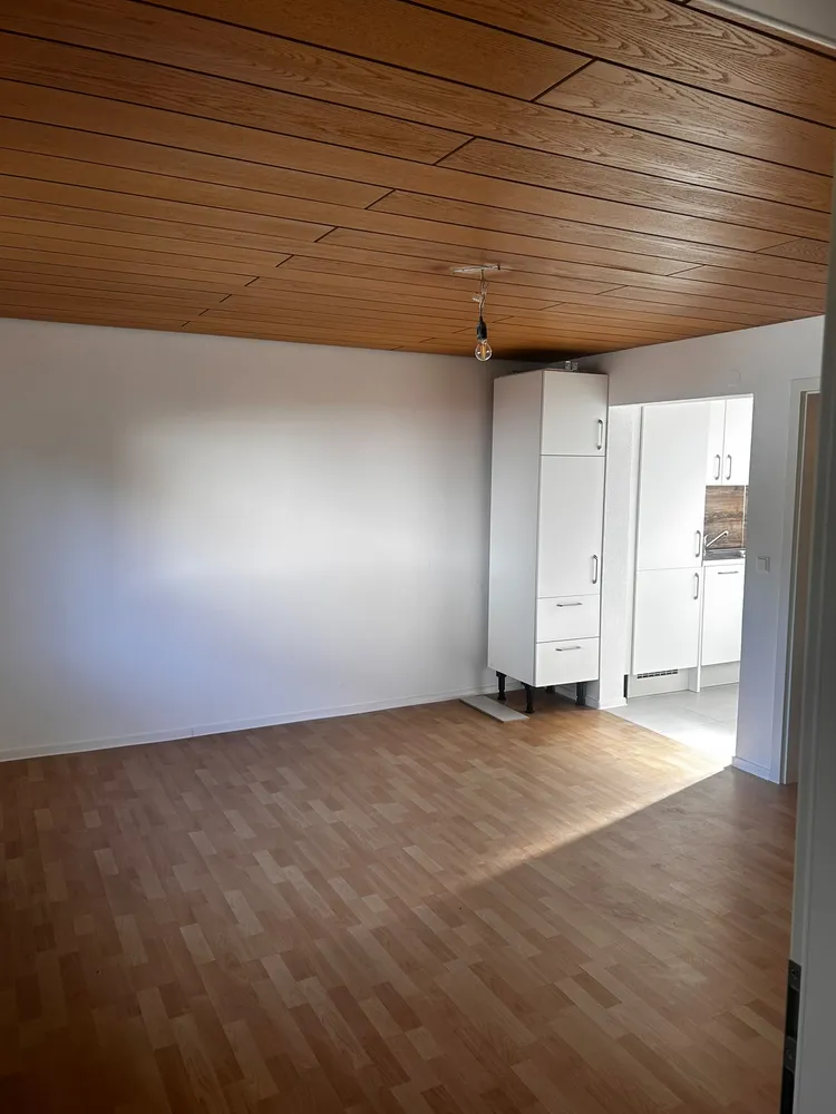 2 Zimmer Wohnung mit 44 m² in Zweibrücken – Bild 6