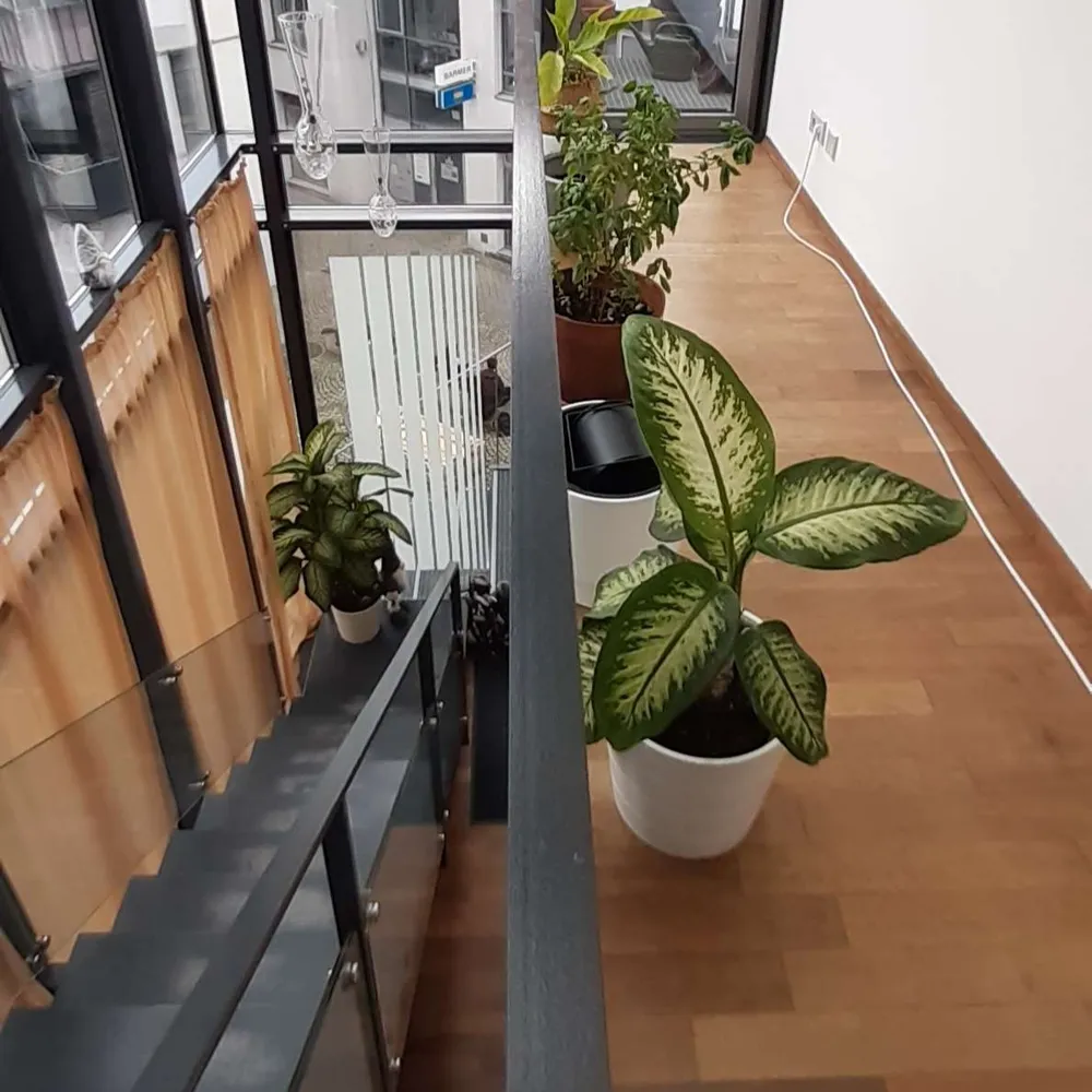 4 Zimmer Wohnung mit 152 m² in Offenburg – Bild 8
