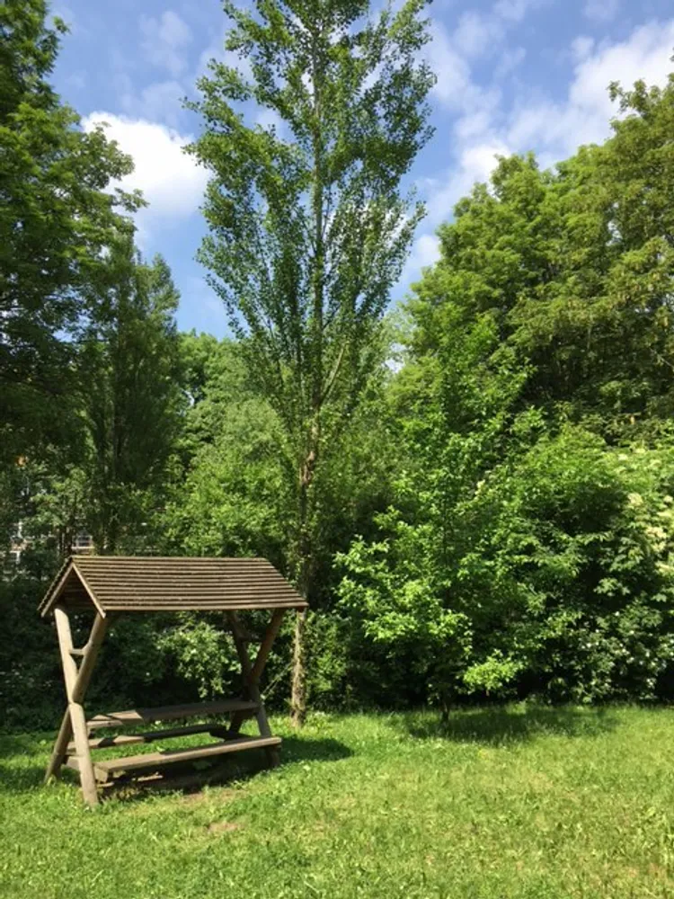 2 room apartment with 63 m² in Chemnitz – Photo 10