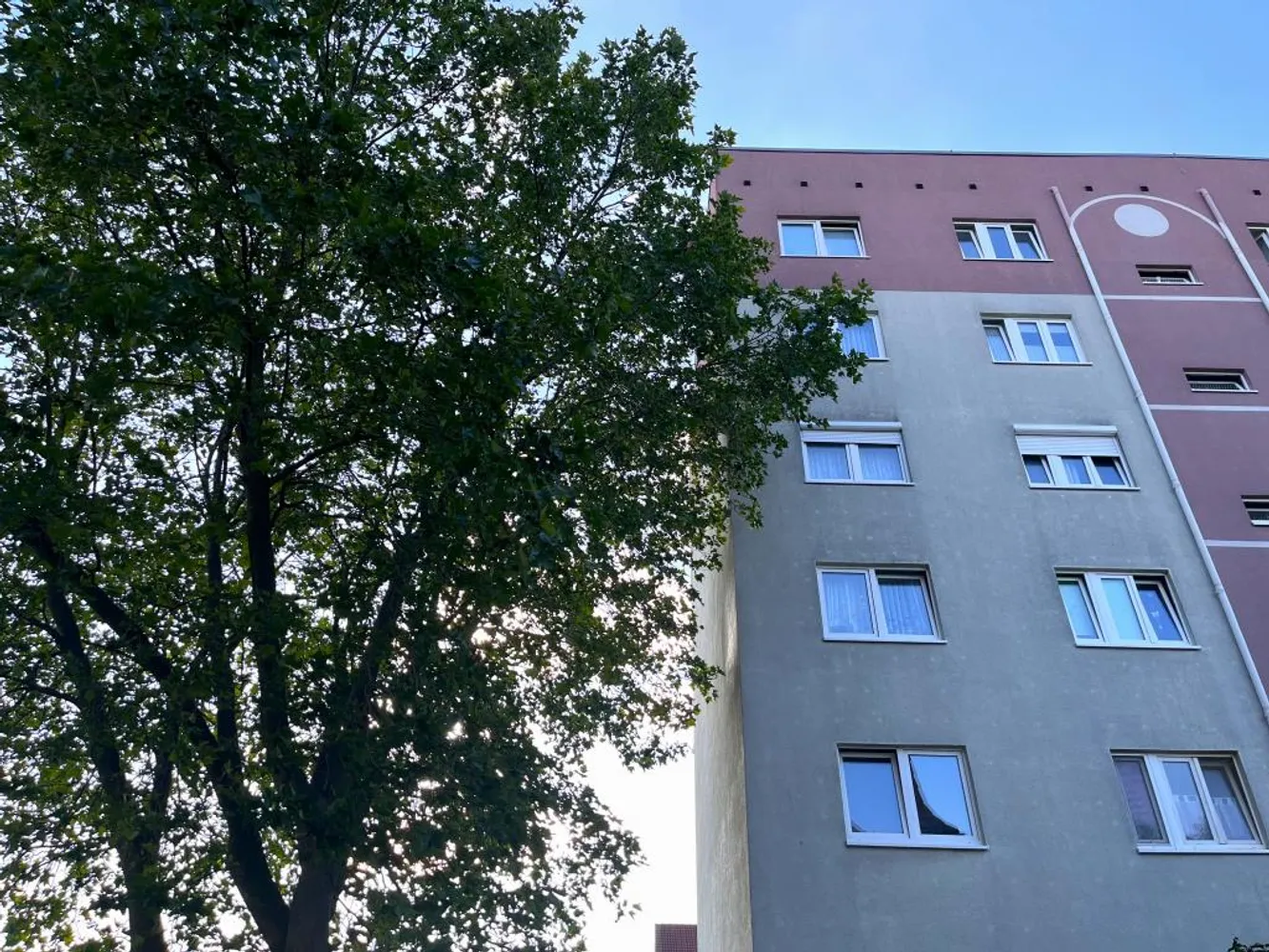 3 room apartment with 68 m² in Riesa – Photo 8