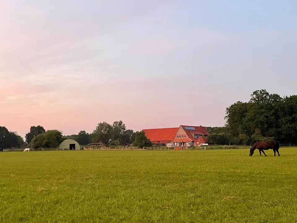 5 Zimmer Wohnung mit 168 m² in Coesfeld – Bild 6