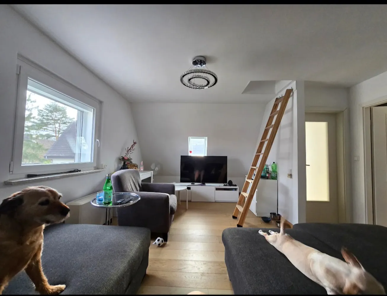 WG-Zimmer mit 13 m² in Berlin – Bild 2