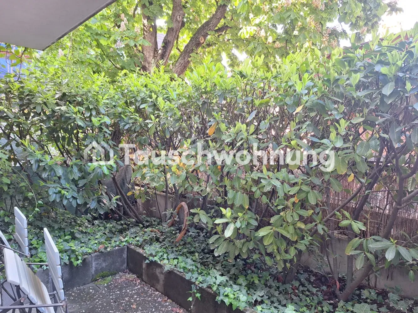 2 Zimmer Wohnung mit 52 m² in Freiburg im Breisgau – Bild 5