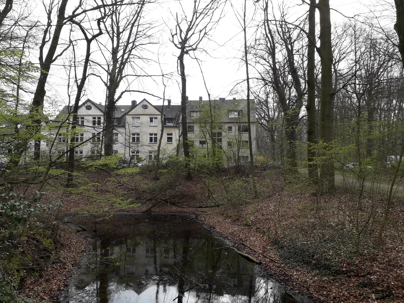 2 Zimmer Wohnung mit 47 m² in Gelsenkirchen – Bild 3