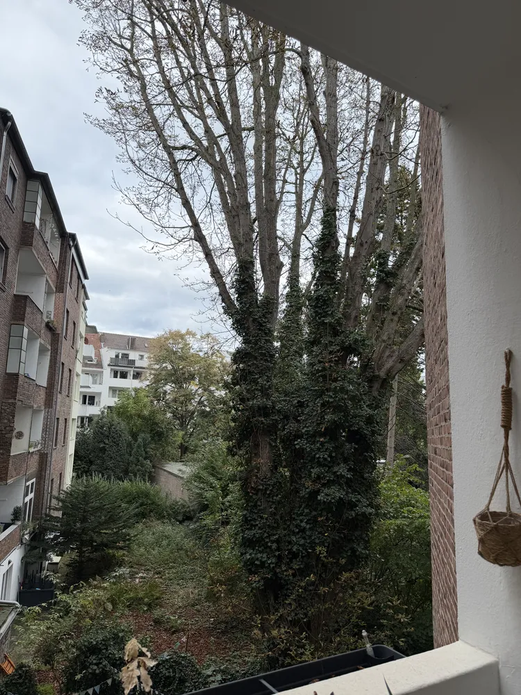 2 room apartment with 73 m² in Düsseldorf – Photo 7