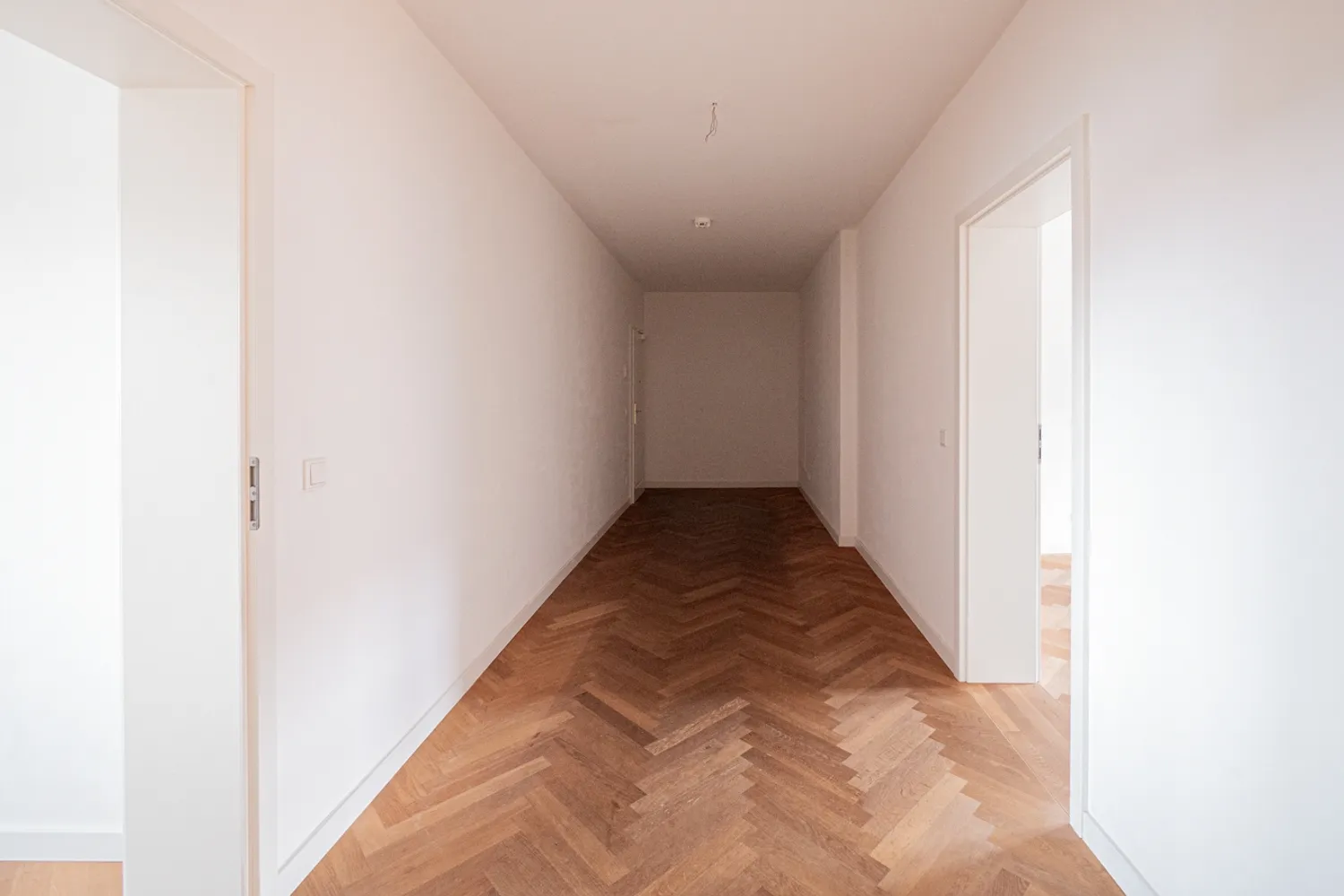 3 Zimmer Wohnung mit 89 m² in Dresden – Bild 2