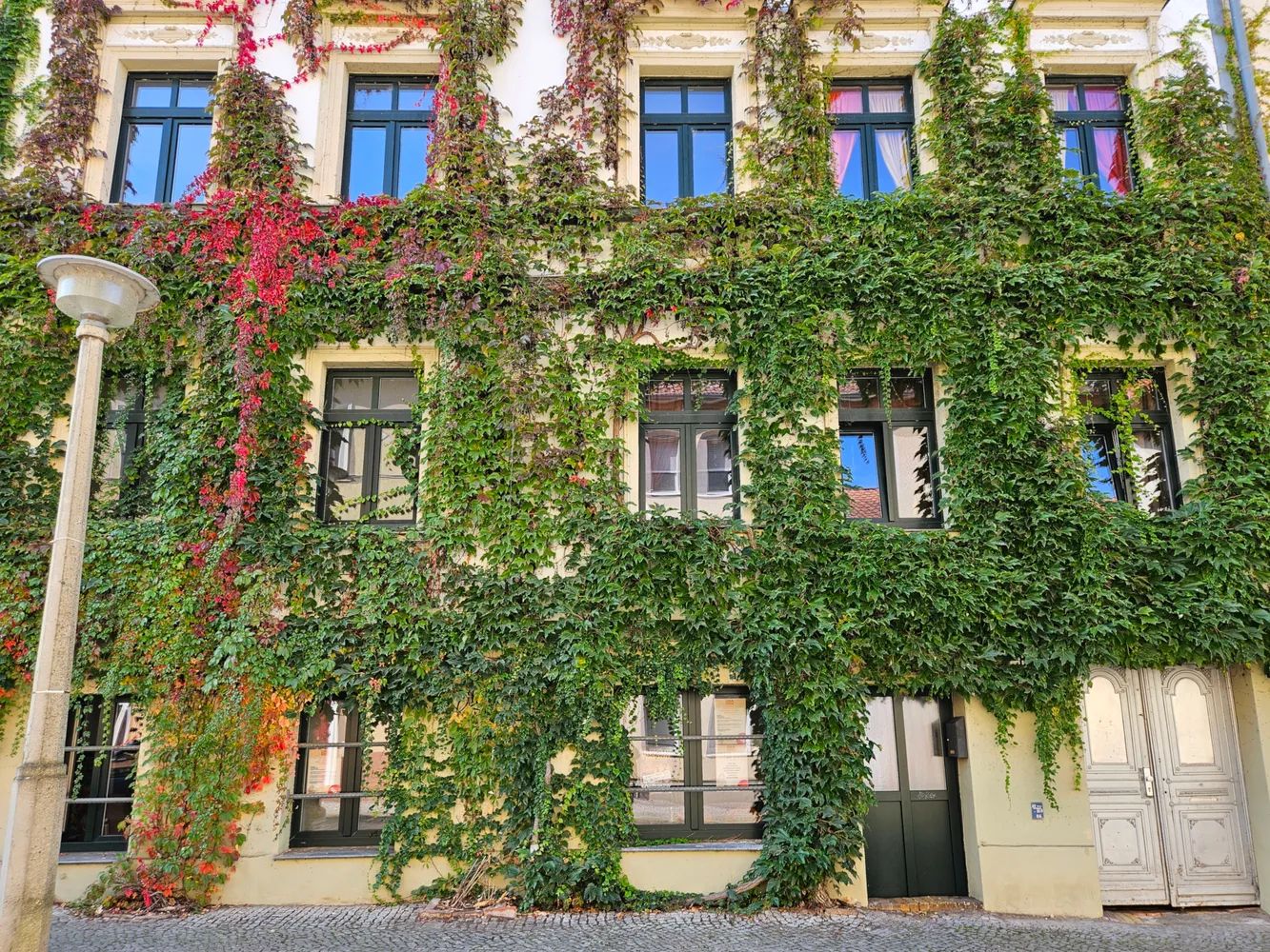 1 Zimmer Wohnung mit 40 m² in Halle (Saale) – Bild 1