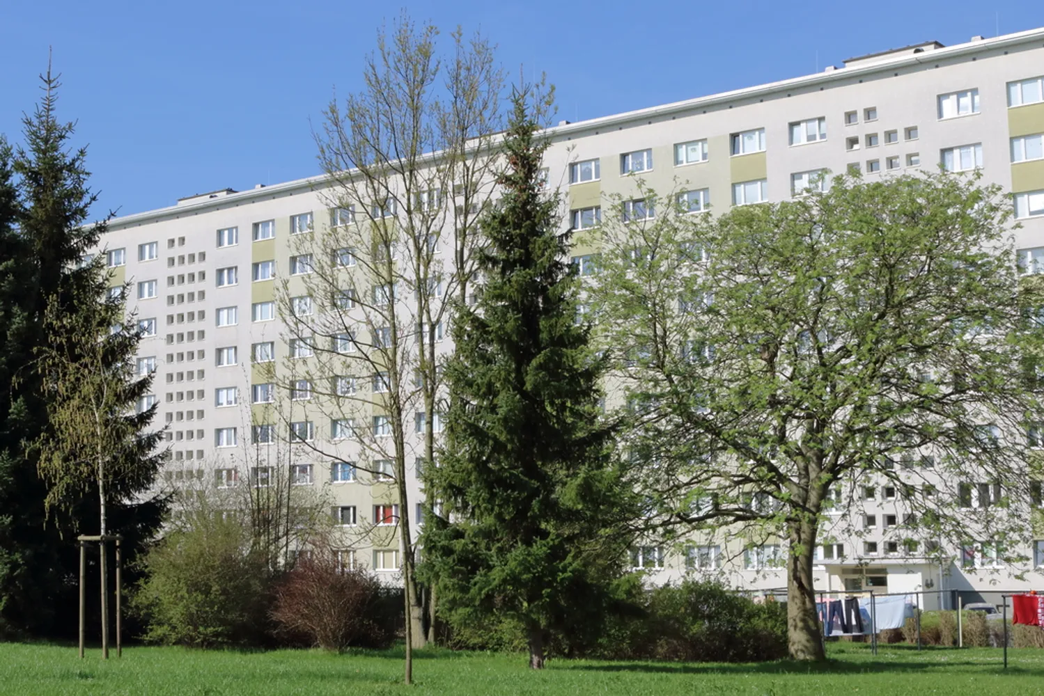 2 room apartment with 46 m² in Chemnitz – Photo 2