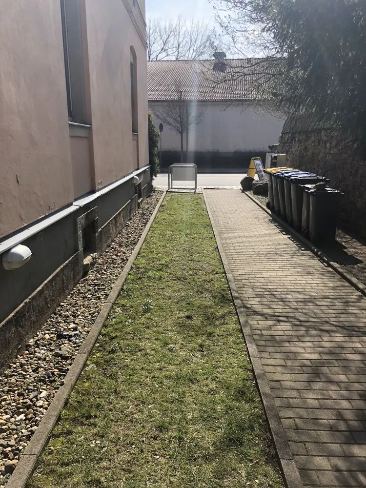 1 room apartment with 35 m² in Dresden – Photo 4