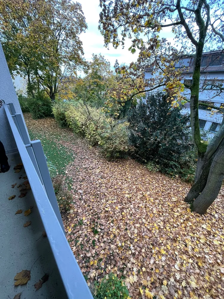 4 room apartment with 78 m² in Frankfurt am Main – Photo 4