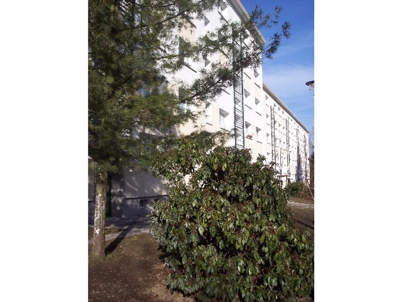 2 Zimmer Wohnung mit 50 m² in Chemnitz – Bild 3