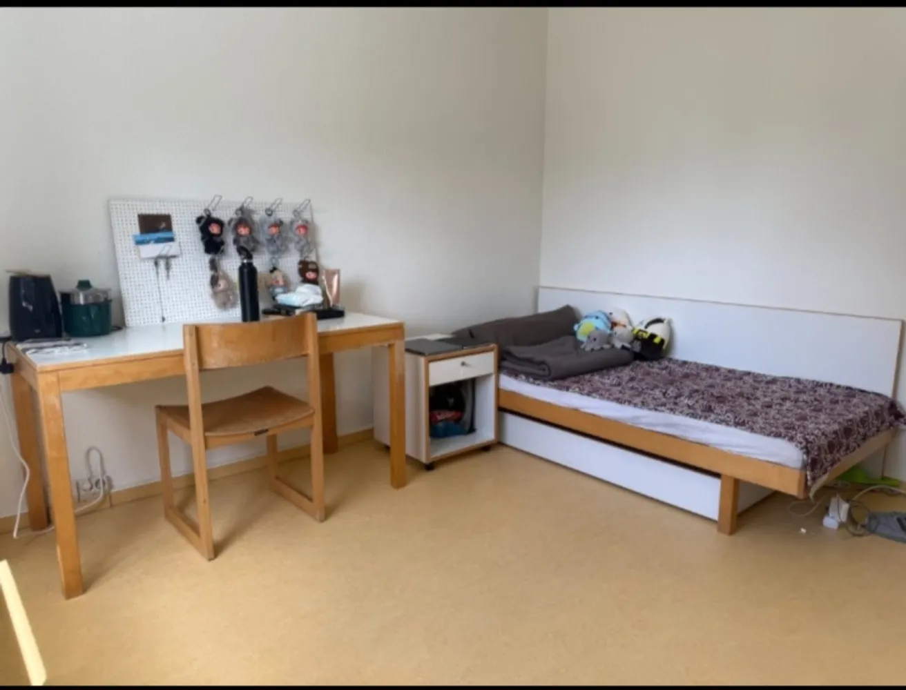 1 Zimmer Wohnung mit 16 m² in Rostock – Bild 1