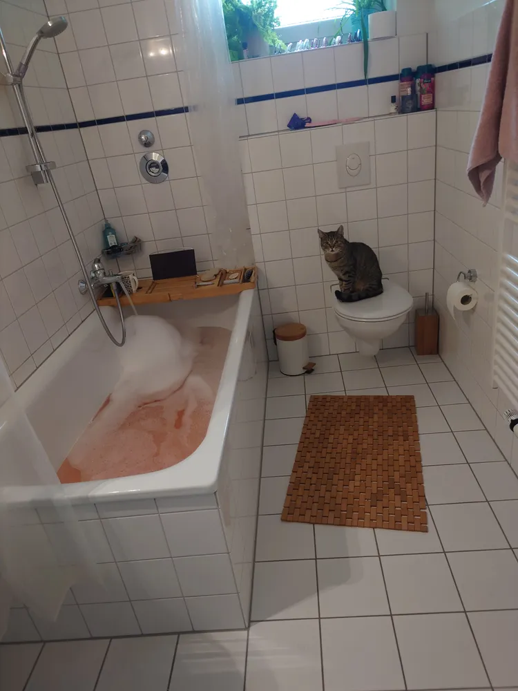 3 Zimmer Wohnung mit 75 m² in Duisburg – Bild 3